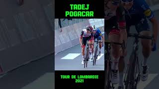 Tadej Pogaçar  Tour de Lombardie 2021 [upl. by Sheeb]