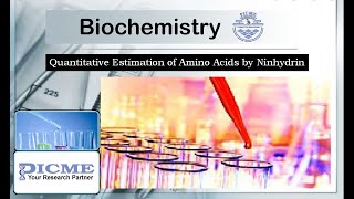 Quantitative Estimation of Amino Acids by Ninhydrin  PICME Labs  Biochemistry I [upl. by Burnard]