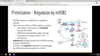 Autophagy Lecture [upl. by Rolan]