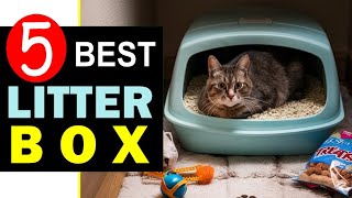 Best Cat Litter Box 2024 🏆 Top 5 Best Cat Litter Box Reviews [upl. by Kaplan]