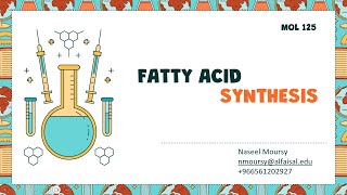 Fatty Acid amp Triacylglycerol Synthesis  Naseel Moursy  MOL 125 PAL Review Session [upl. by Nerat531]