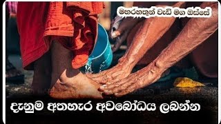 දැනුම අතහැර අවබෝධය ලබන්නMaharahathun Wedi Maga Osse [upl. by Sila]