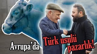 Avrupada Türk usulü pazarlık  Belçika Mavisi Nedir [upl. by Anitselec449]