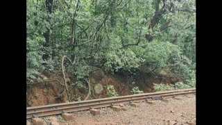 Walk from Dasturi point to Matheran via tracks [upl. by Reivilo]