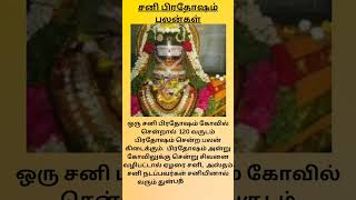 சனி பிரதோஷம் பலன் pradosha valipadu [upl. by Oniram485]