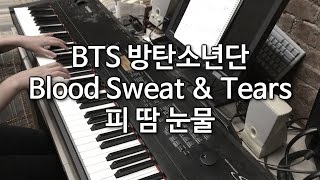 BTS 방탄소년단  피 땀 눈물 Blood Sweat amp Tears Piano Cover 피아노 커버 [upl. by Osugi]