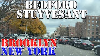 BedfordStuyvesant  quotBedStuyquot  Brooklyn  New York  4K Neighborhood Drive [upl. by Harbert933]