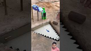 pigeon trap tric satisfying pigeontrap oddlysatisfying easytrap diy birdtrap birds [upl. by Kralc]