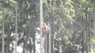 Heli logging [upl. by Durno]