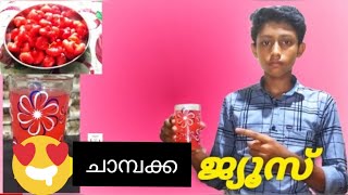 ഒരുഗ്രൻ ചാമ്പക്ക ജ്യൂസ്  chambakka juice  rose apple juice chambakka juice recipe malayalam [upl. by Fredelia]