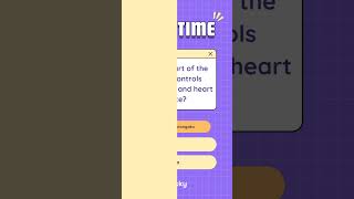 Fun Brain Quiz Identify the Brain Region for Breathing and Heart Rate Control ytshorts quiz [upl. by Nikolai]