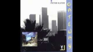 Peter Kater  Talk Back [upl. by Intruok]