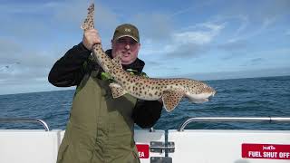 Boat Fishing Mid Channel Out Of Ilfracombe  Tope Huss Spurdogs amp Good Times [upl. by Dubenko]