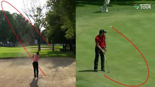 0 Luck 100 Skill Golf Shots [upl. by Anastase]