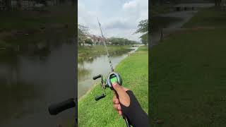 Shimano Curado DC XG  Rod Exp Explosion [upl. by Noirod377]