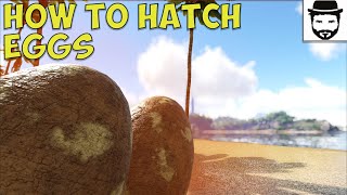 How To Hatch Eggs Ark Survival Evolved [upl. by Rutherfurd630]