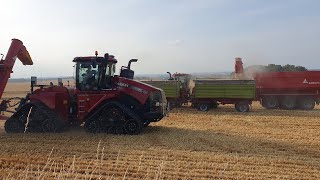 Ernte Gerste 2024  4 Claas Lexion 2 Case Quadtrac pt 2  Uncut Raw Sound [upl. by Amalie861]