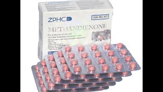 ZPHC Methandienone Dianabol 10mg 100 tablets [upl. by Mcclure]