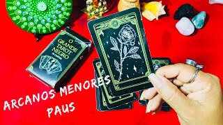 TAROT NEGRO  Arcanos menores  Paus [upl. by Jodi]