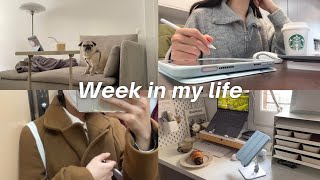 a productive Week in my life vlog  lots of study done for exams huge Ikea home haul and assembling [upl. by Yobybab67]