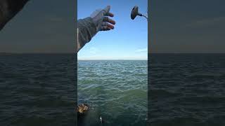 Flounder Fishing At Galveston TX fishing texas outdoors flounder fishinglife [upl. by Kaule222]