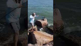 Shark in jetties south padre island fishing texasoutdoors shorts shark outdoors tiburon [upl. by Benildis]