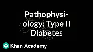 Pathophysiology  Type II diabetes  Endocrine system diseases  NCLEXRN  Khan Academy [upl. by Centeno]