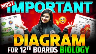 CLASS 12 BIOLOGY  Most Important Diagrams 💯 Class 12th Boards 🔥 [upl. by Assi]