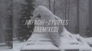 jinpachi  zygotes remixed [upl. by Jutta]