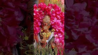 Avani vanthathum whatsapp whatsappstatus vinayagarchaturthi vinayagar devotional [upl. by Attezi660]