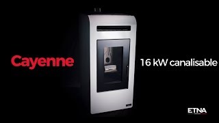 Poêle à granulés Cayenne 16 kw canalisable  ETNA [upl. by Hertberg430]