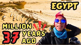 Valley of the Whales in the Fayoum Oasis  Egypt Vlog 133  وادي الحيتان [upl. by Dara]