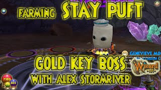 Wizard101 STAY PUFT FARMING with Alex Stormriver [upl. by Cristy]