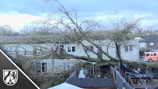 Sturmtief Bennet entwurzelt in Düsseldorf Bäume an Rosenmontag [upl. by Phylys422]