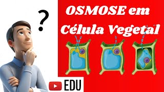 OSMOSE EM CÉLULA VEGETALTransporte Passivo [upl. by Atnahs480]