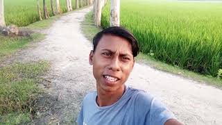 Best song by Musfik Farhan everyone higlight best songs funny [upl. by Fortunio]