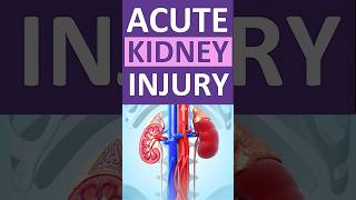 The 3 MAIN Types of Acute Kidney Injury AKI Explained shorts acutekidneyinjury [upl. by Ornstead614]