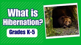 What is hibernation  More Grades 68 Science on Harmony Square [upl. by Edora]