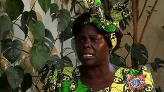 Wangari Maathai amp the Green Belt Movement [upl. by Scarito]