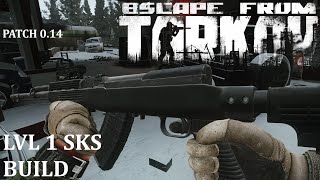 Escape From Tarkov Lvl 1 SKS Build 014 Patch [upl. by Aronaele38]