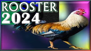 Rooster Horoscope 2024 ✦ Born 2017 2005 1993 1981 1969 1957 1945 1933 [upl. by Sternberg380]