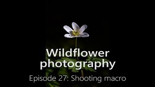 Wildflower photography  Episode 27 [upl. by Worrad81]