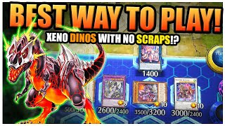 THE BEST DINO DECK  Xeno Dinos Master Rank Deck Profile amp How To Play  YuGiOh Master Duel [upl. by Leksehc967]