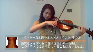 マイスター推奨バイオリン！GEWA「Meister Violin Set」 [upl. by Milde]