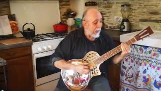 Dik Banovich Playing Aiersi Parlour Resonator Guitar TRG10C [upl. by Nyliahs587]