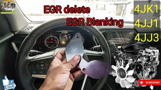 Is it okay to put EGR blanking plate for EURO 4 engine [upl. by Starla243]