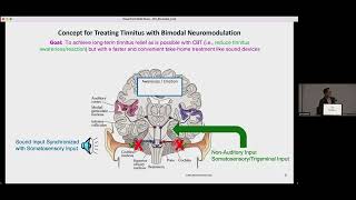 Professor Hubert Lim Speaking about Lenires Bimodal Neuromodulation [upl. by Nerac]