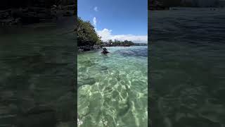 Carlsmith Beach Park Hilo Hi 🏝️ [upl. by Colligan]