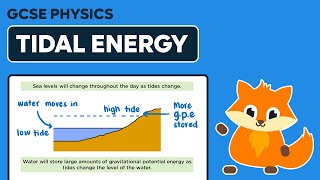 Tidal Energy  GCSE Physics [upl. by Duffy390]