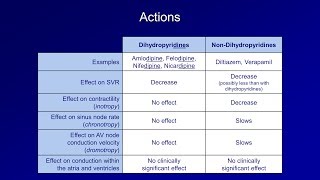 Antiarrhythmics Lesson 5  Calcium Channel Blockers [upl. by Viviane]